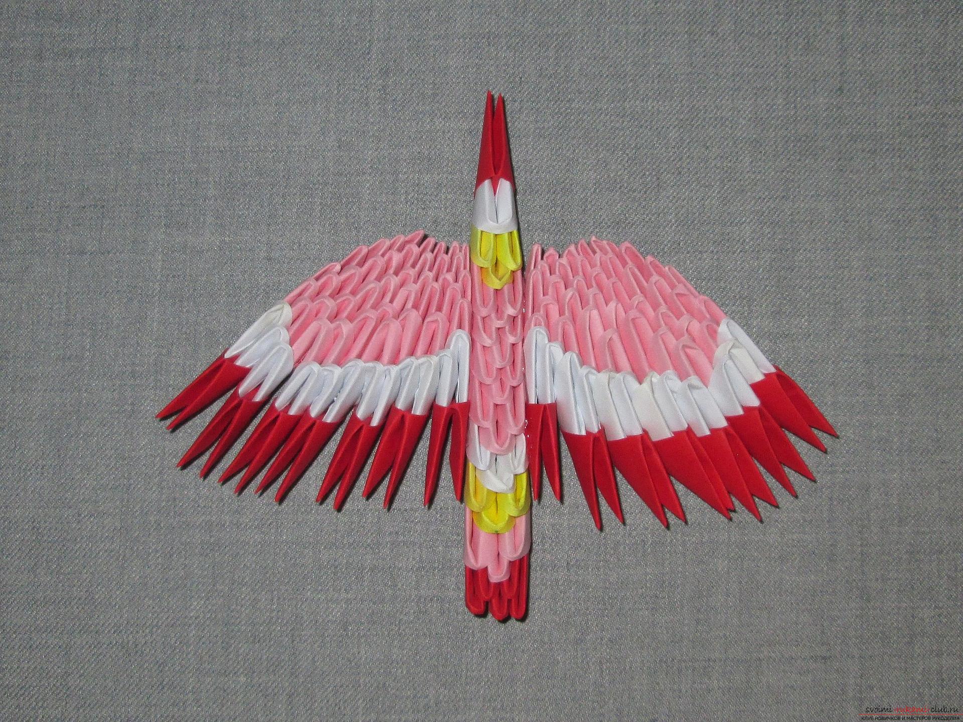 Мастер-класс с подробным описанием и фото научит делать модульное оригами птицы.. Фото №11